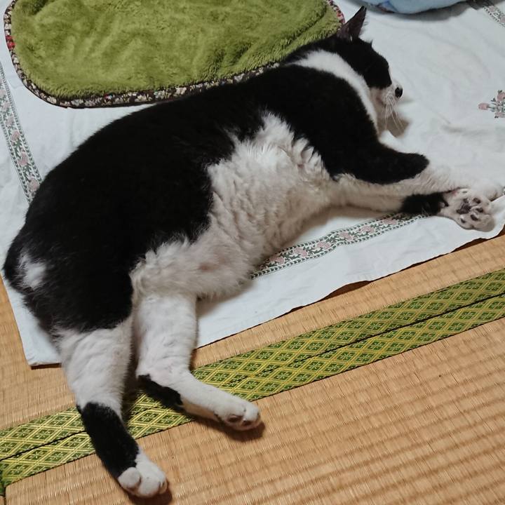 58df0389 186e 42a9 9a6a 20aa6775bbfa 1536743353192