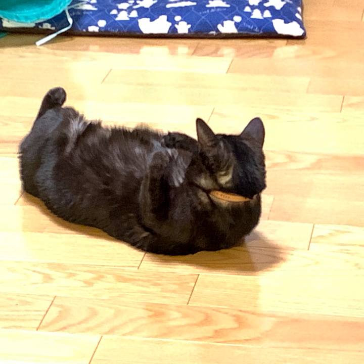 58df0864 d796 4da2 a8c3 259cf7d6c974 1579152007069