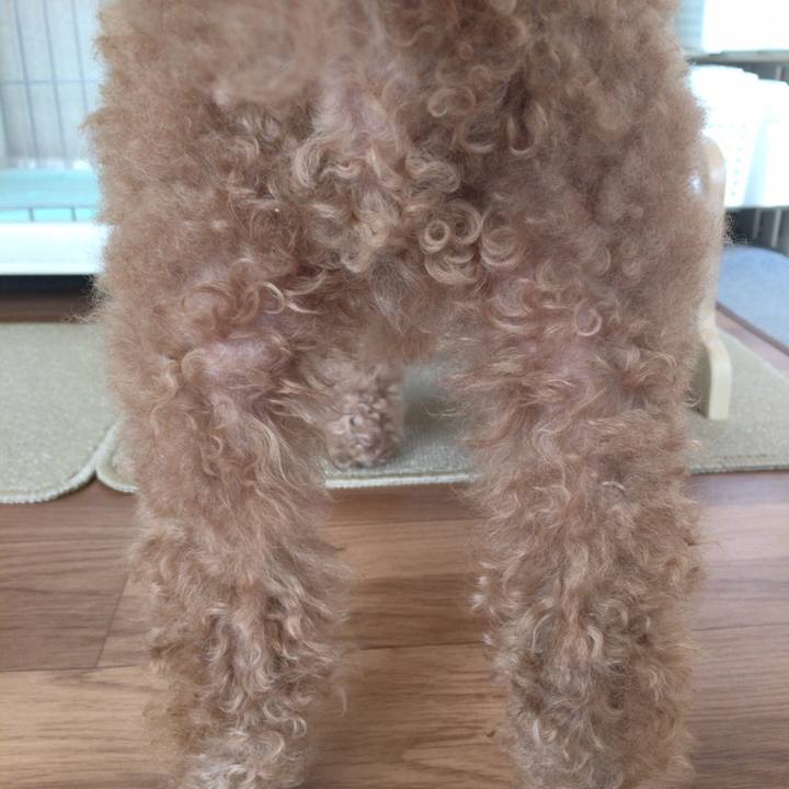 58df5cee 572a 4652 8534 8bd0d1ad1c2f 1550323415257