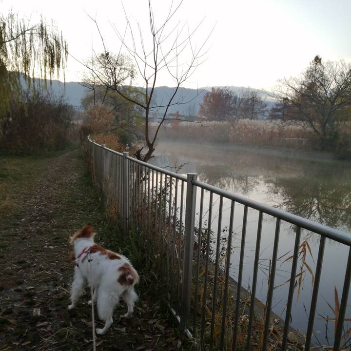 58df7bce 521b 4b79 b099 a2d721bff35c 1576804284346