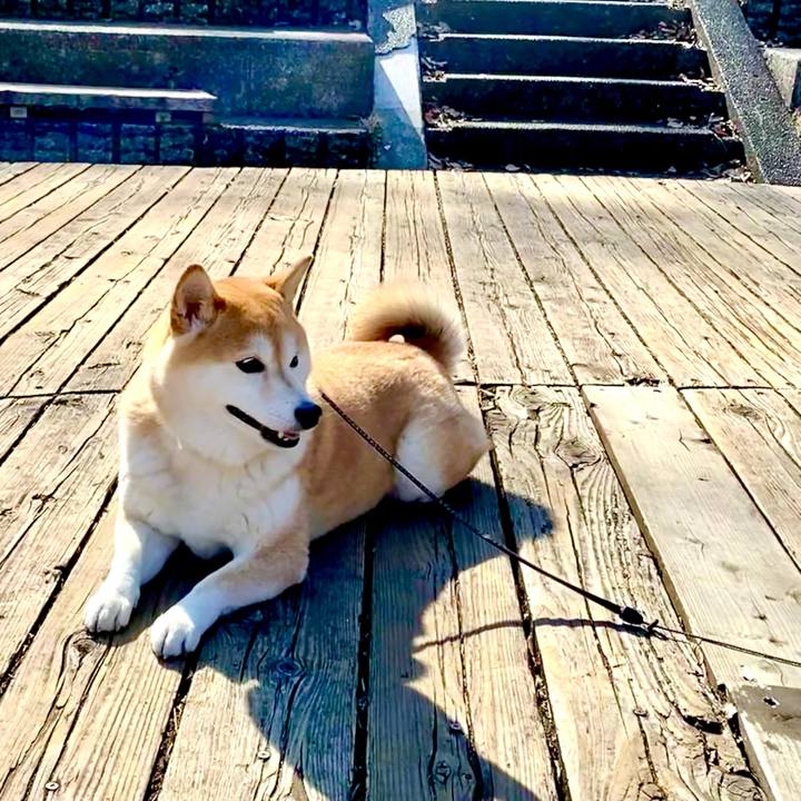 58df94f9 e0ae 4e1c 924d f1fcd40b59c1 1612613635887