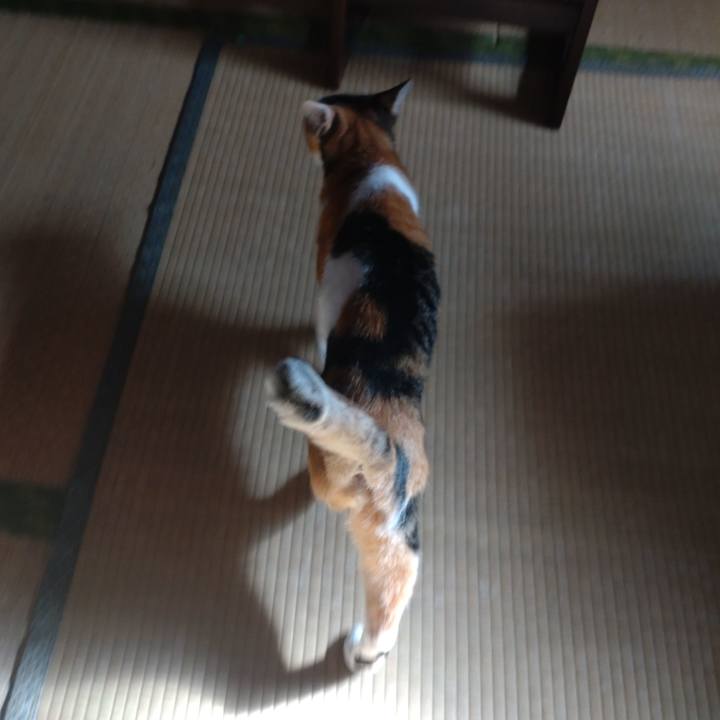 58dfcda8 2d12 49e8 8c57 ee6463c46a40 1666408426039