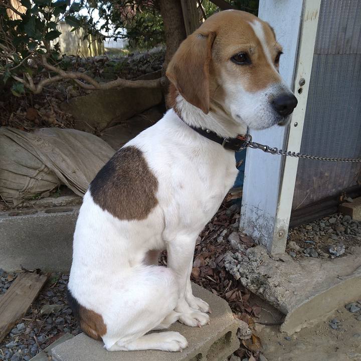 58dfd16f baf8 46de a85f 88e6e0af0a1a 1645708634339