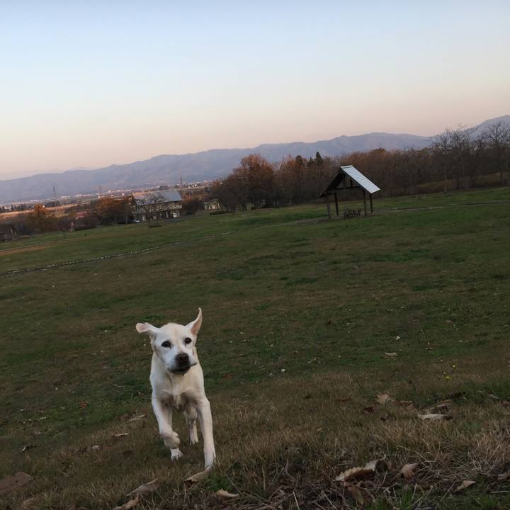 58dff34b d1e0 40bd 8259 acf3a38d4d67 1551166078820