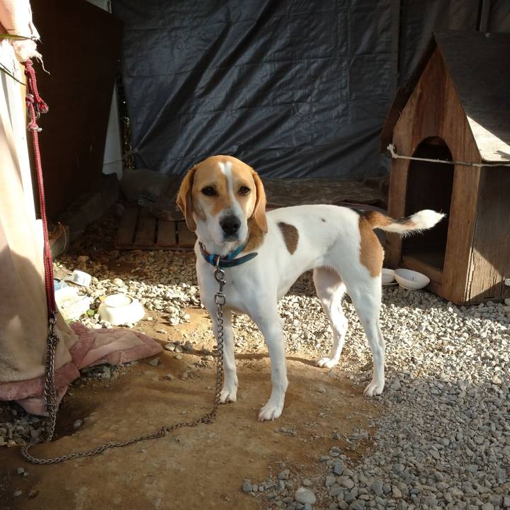 58dfff2a ab57 45aa bb16 0d6ee217cf93 1615619232124