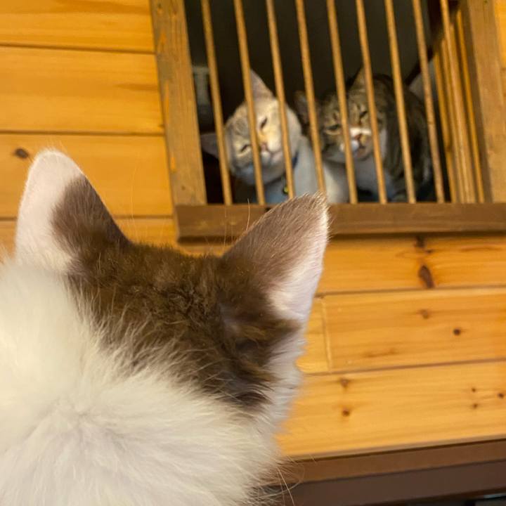 58e02ebf 1ab9 449d 9d9b aa4fab61ede1 1688198871366