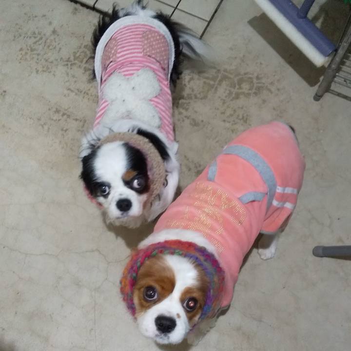 58e08778 df58 4e5d 82bd 9134173805c9 1636423258075