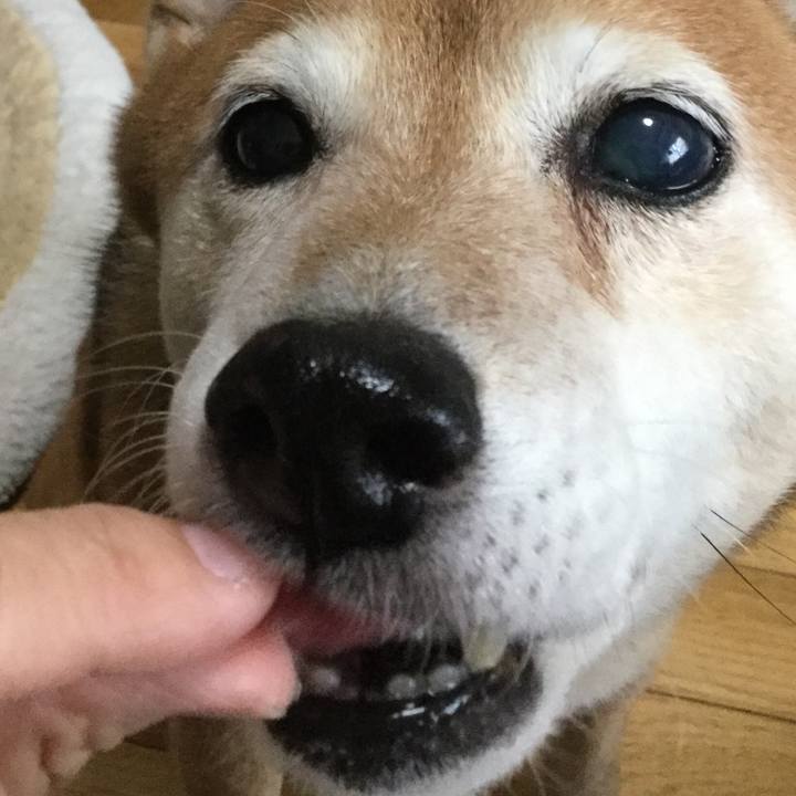 58e0a2f5 a301 4a1c bab8 76223b83dec8 1631854223080