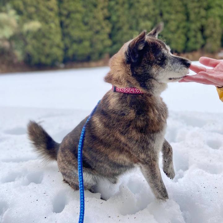 58e0a969 d4c2 4a18 8f72 c3ccda126e52 1671930127305