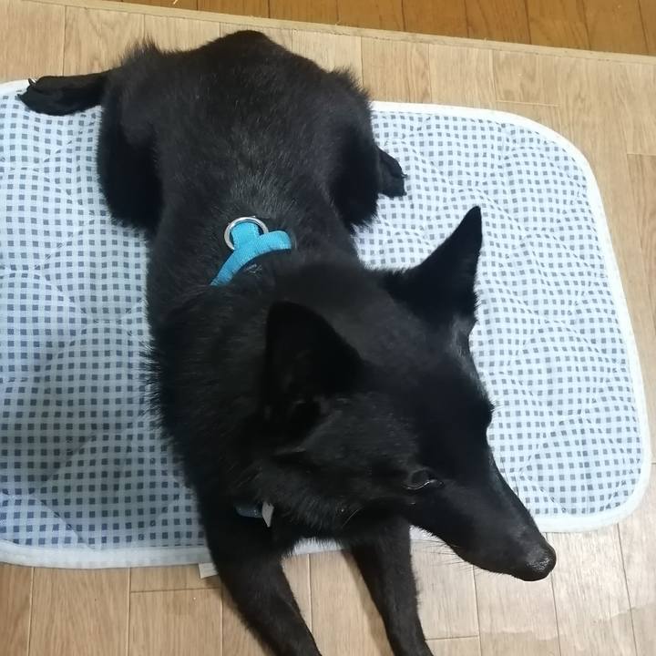 58e0abf6 6edd 4402 82b9 dd64d453db96 1637663989736