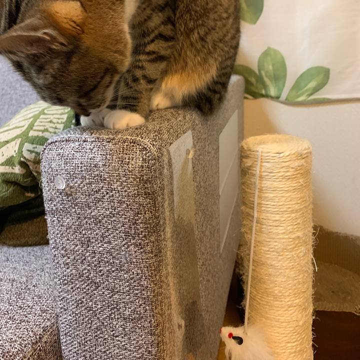 58e0b6ab 6ab6 468a 952e 9038f66442ce 1549851237605