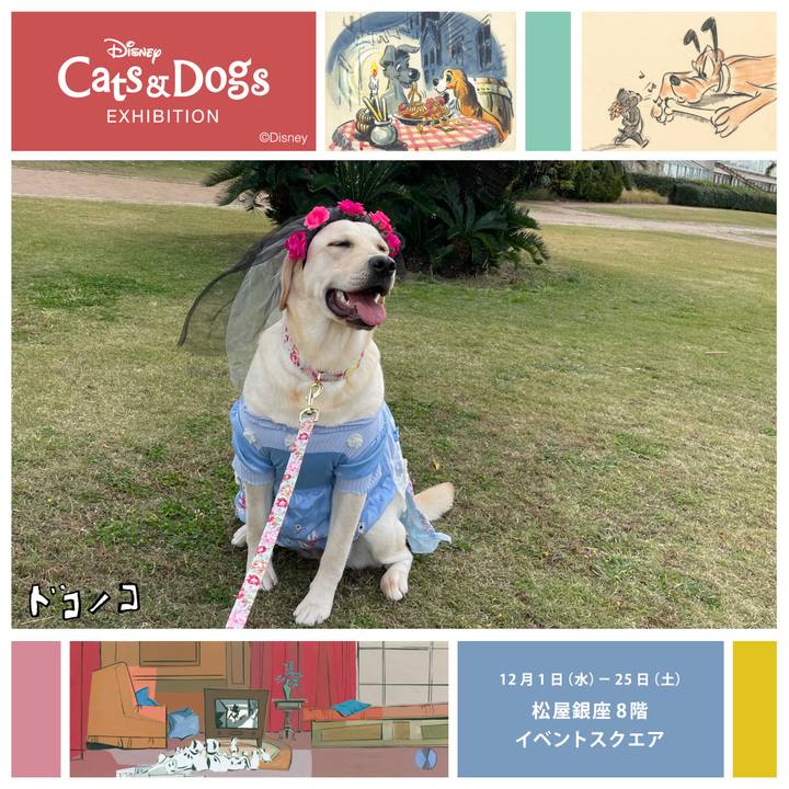 58e10c42 0fcb 403f 9e7a ea31fa0a6afd 1638365361082