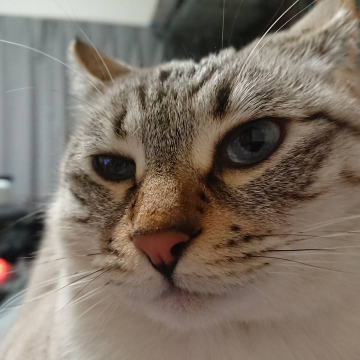 58e12b82 6209 4594 91c5 73d8972717ae 1547551020552