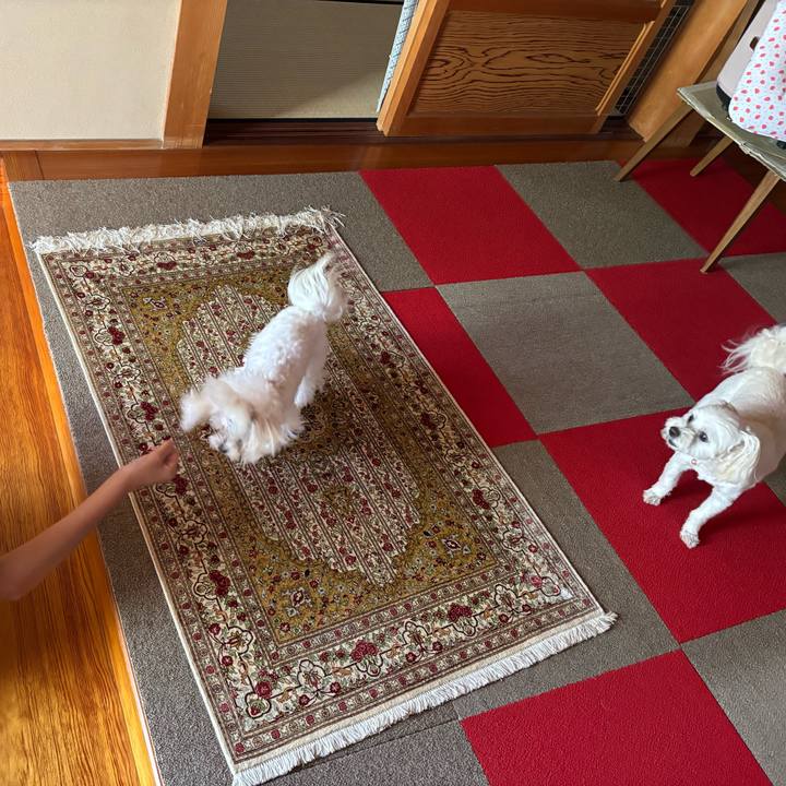 58e14bed 7997 4928 951c 3be2e203f87e 1752651691776