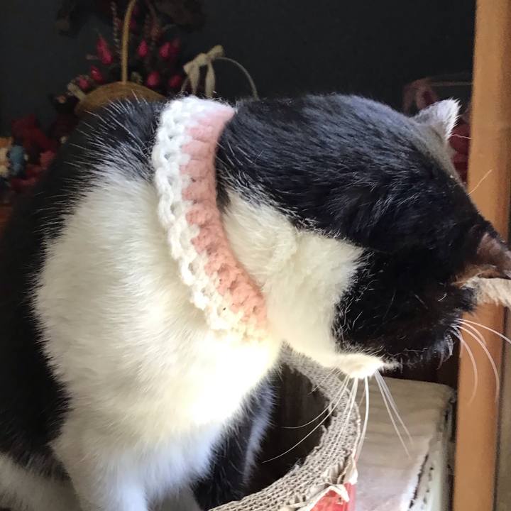 58e18e22 acef 4c0d 9839 180bb7fc234e 1745226435597