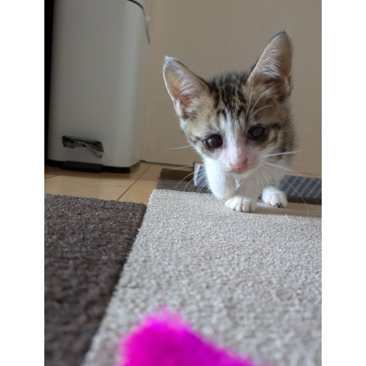 58e19baa d90b 42ad a43a ab60249d1adf 1726964051975