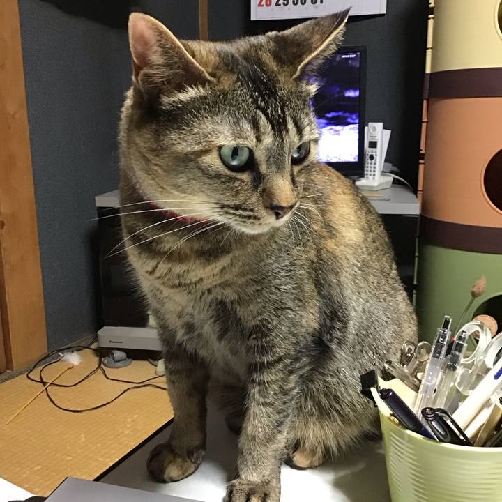 58e1ac16 3003 4ba4 8d51 2e2d62703fe5 1685015069114