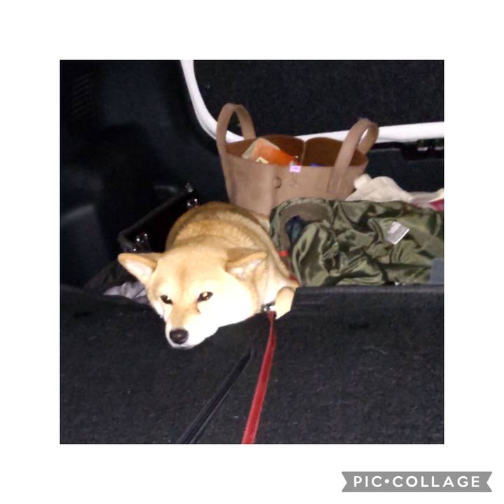 58e1ac29 30f9 4ceb aafc 7865e5cf6116 1672794497374