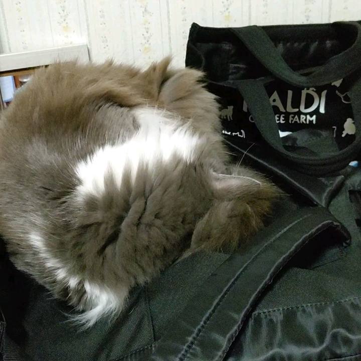 58e1bfe1 6785 4f1c bbd0 3e02f2a3802e 1586385488911