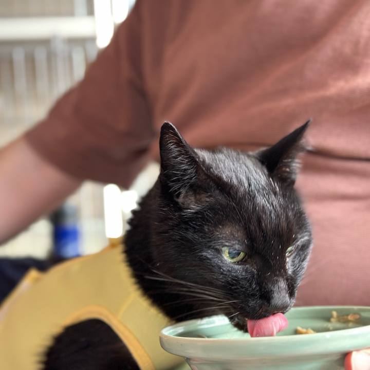 58e2008c a1bf 40fc 8361 9d0fc43ea1d4 1716258123791