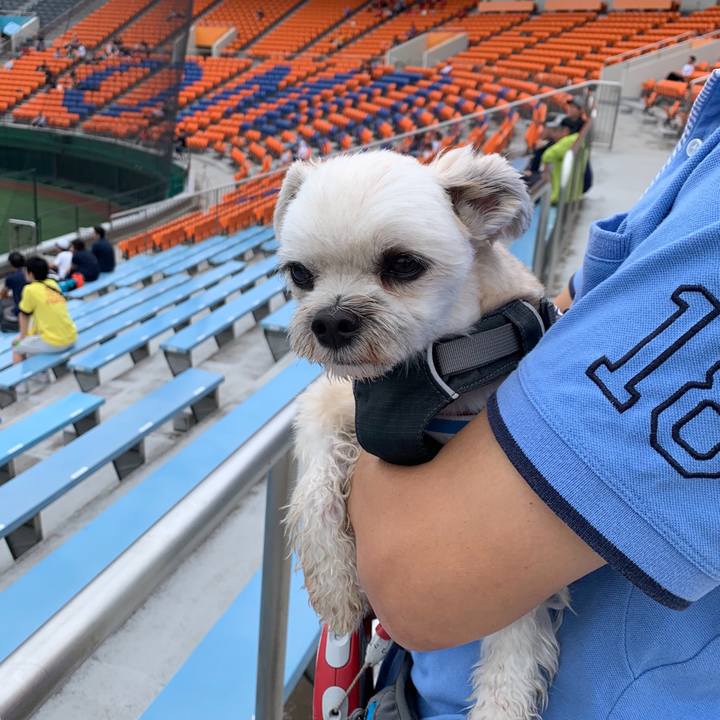 58e21fa3 e3f9 4d26 8fae 56604ac1a225 1562404736899