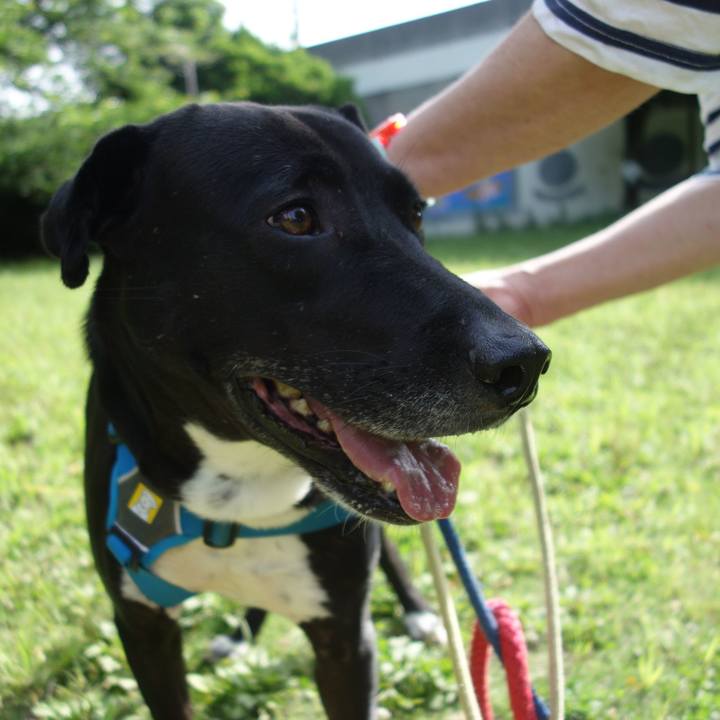 58e28d4a f037 44ee 807f c8e40c7427ee 1621987576658