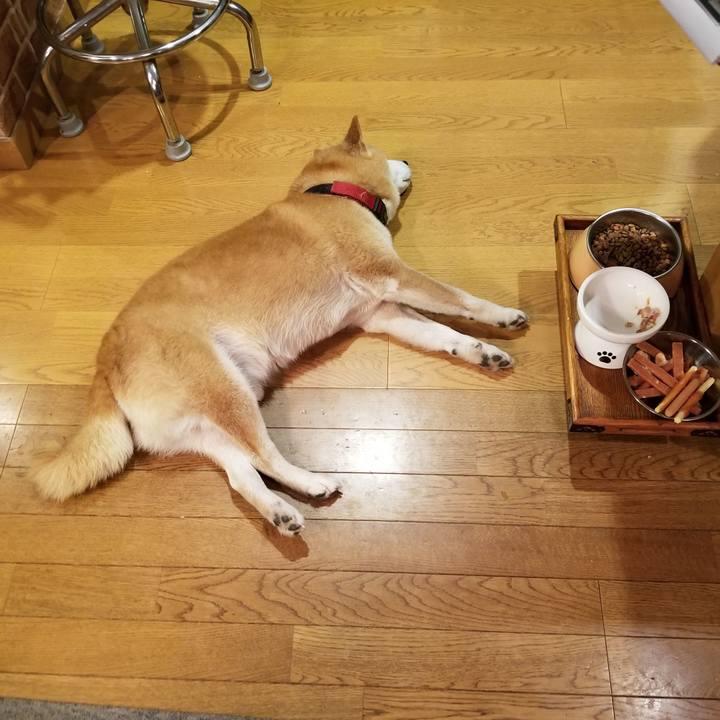 58e29ca6 b788 4472 9987 37758ae8597c 1734339517662