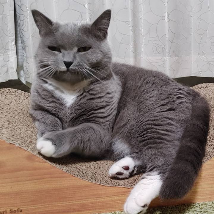 58e29ee6 4534 47de 96f7 df48ac98cdcf 1658665649997