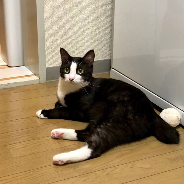 58e2ad2f 1dc8 4043 93b9 c426fd1cceeb 1537185926972