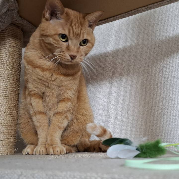 58e2e412 b954 4147 9e21 d24ee507580f 1736431551302