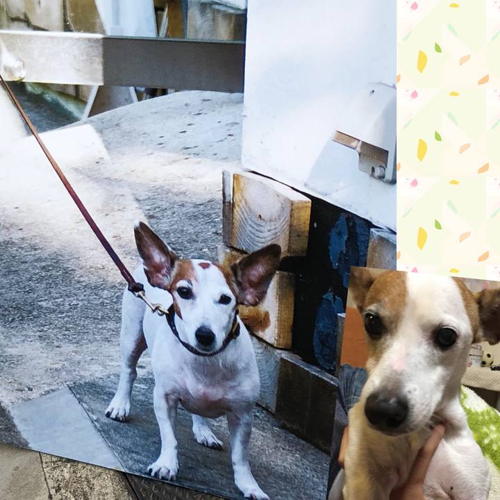 58e2f888 59b8 437c b99c 6b544ba5bd57 1524389578995