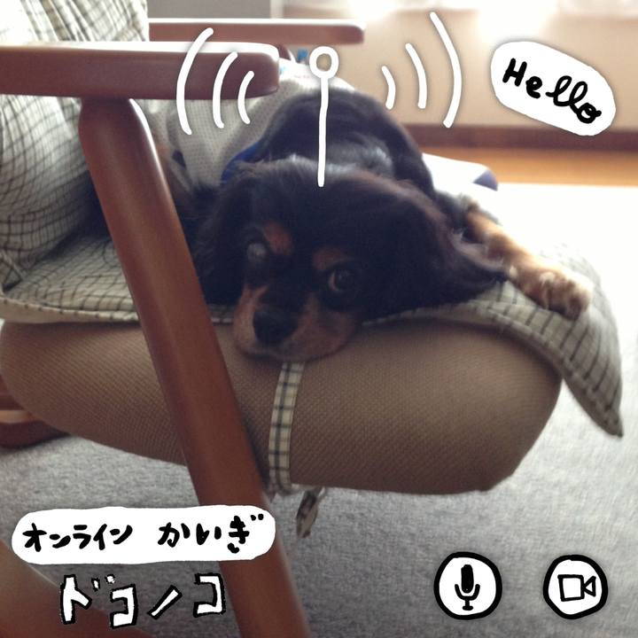 58e34283 09a5 485a b3ca 5fca151c6046 1591348312455