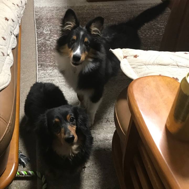 58e34a56 f032 41fc 8618 70f58ce2f450 1583099337137