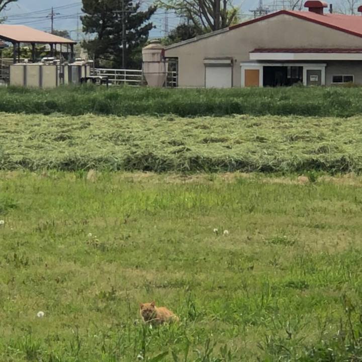 58e358e4 0fcc 4175 9548 0425d6e55b2b 1587806498157