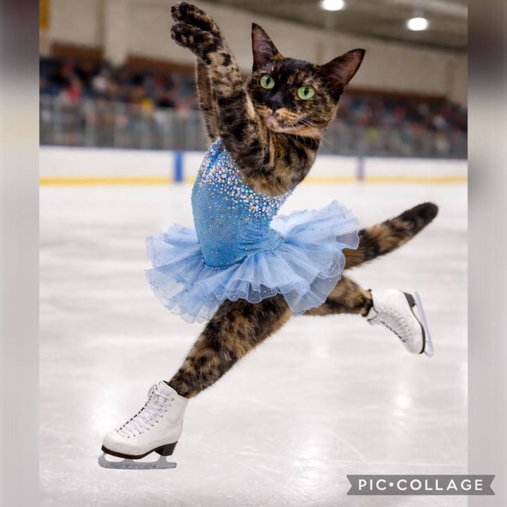 58e3777c 2592 4085 bbe7 6332330f215c 1771238751610