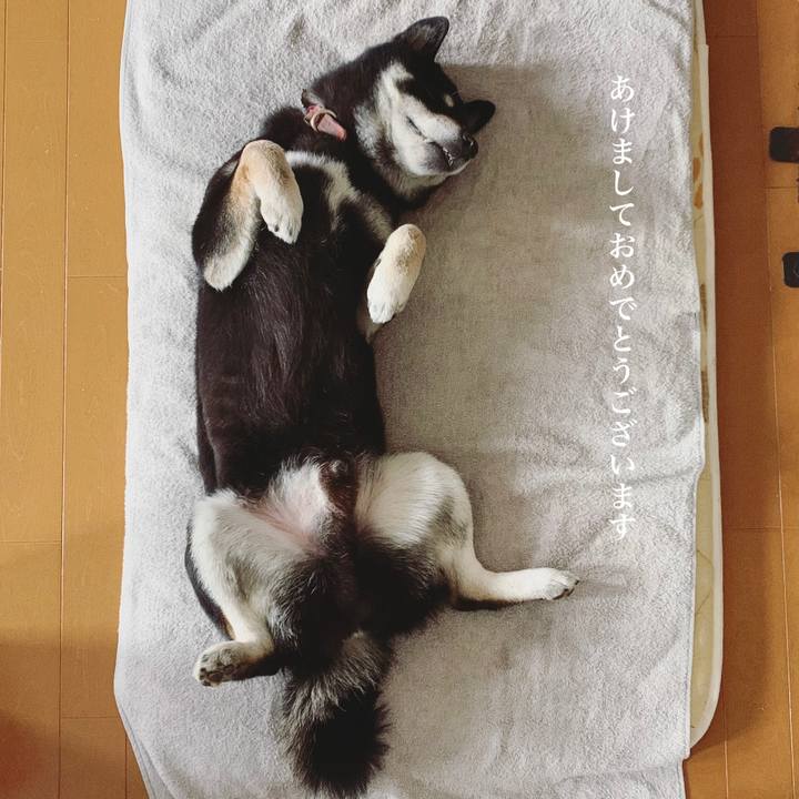 58e37d21 e36d 446f bea8 cd4ecf9c1a92 1641028377977