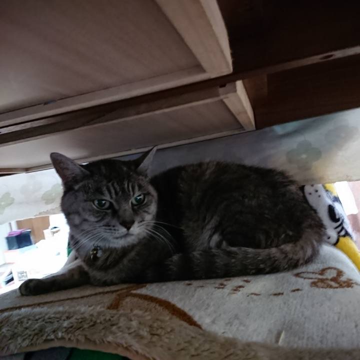 58e3b024 236d 4942 98a4 ba9205bf62b3 1572212758398