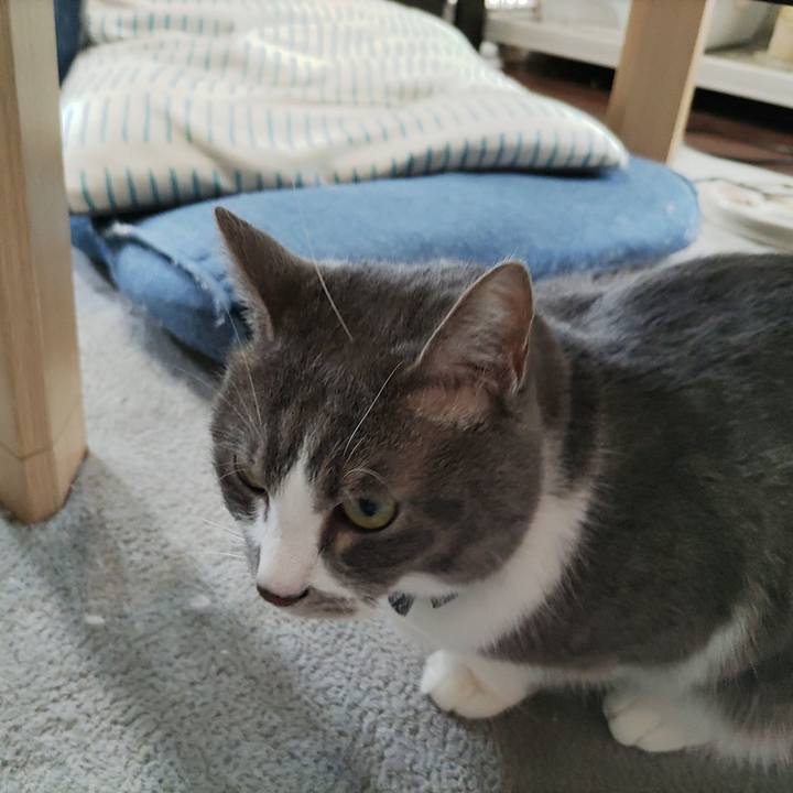 58e3b190 0faf 4a84 bb62 1ab1540688ed 1684032379973