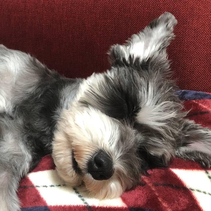 58e3ef07 d618 4820 9df1 50a32eafd80f 1546696586872