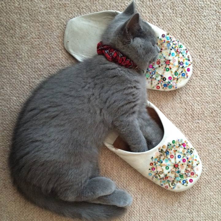 58e3f228 1a16 438f a84c 9306a3d495d4 1573044957962