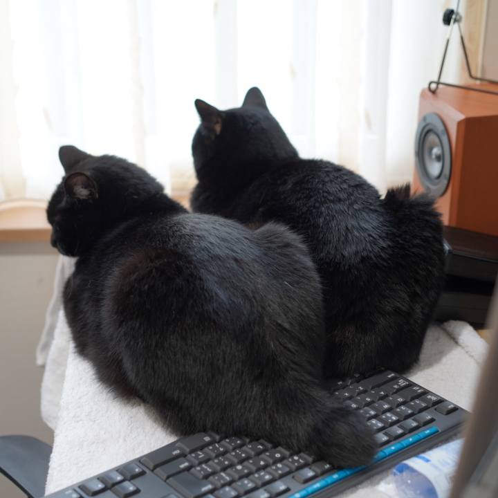 58e42a62 47db 4142 9e5e 9c686785e51d 1625198916277