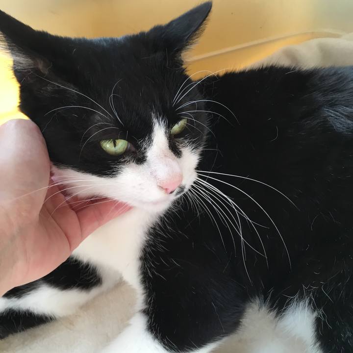 58e430dd eb58 4339 af70 42002beda563 1510227730910