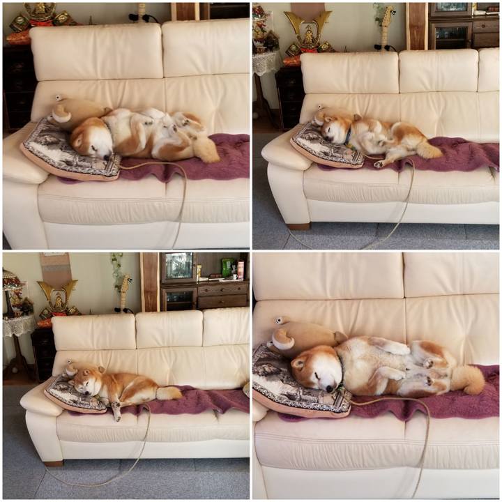 58e43a4a 0033 4f06 bf62 712b2a9f36dc 1588546026550