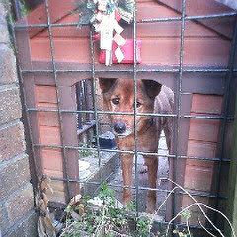 58e43b60 6b9e 429e b75f eeb6d09bb013 1641605130424