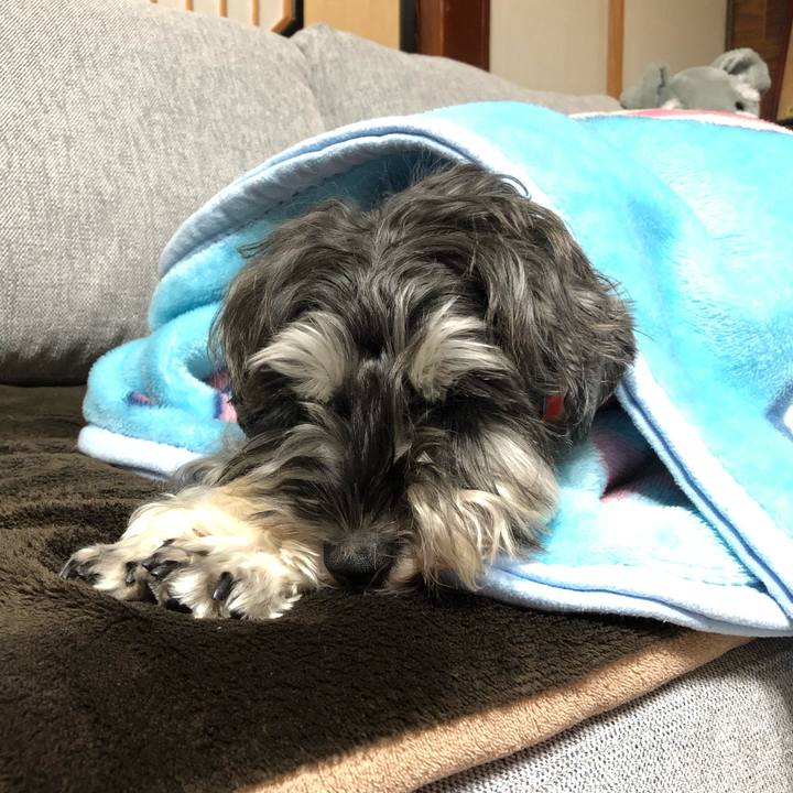 58e4735b 128d 4742 9ab7 0a4aab9db56c 1575553609515