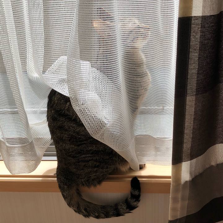 58e47569 7e33 4e15 90a4 d23d08b06330 1520765233523