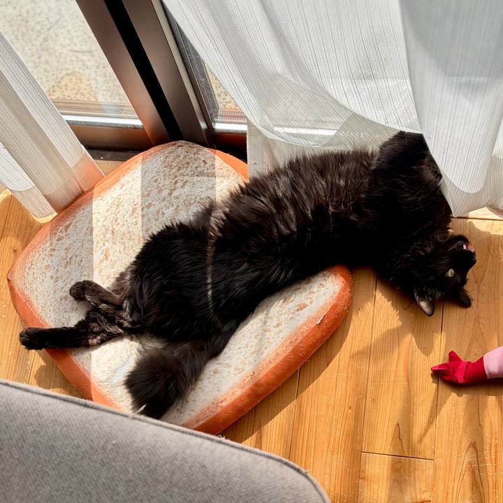 58e4f2e8 28c6 4d6c 981f cee41bf45ec0 1773817915349