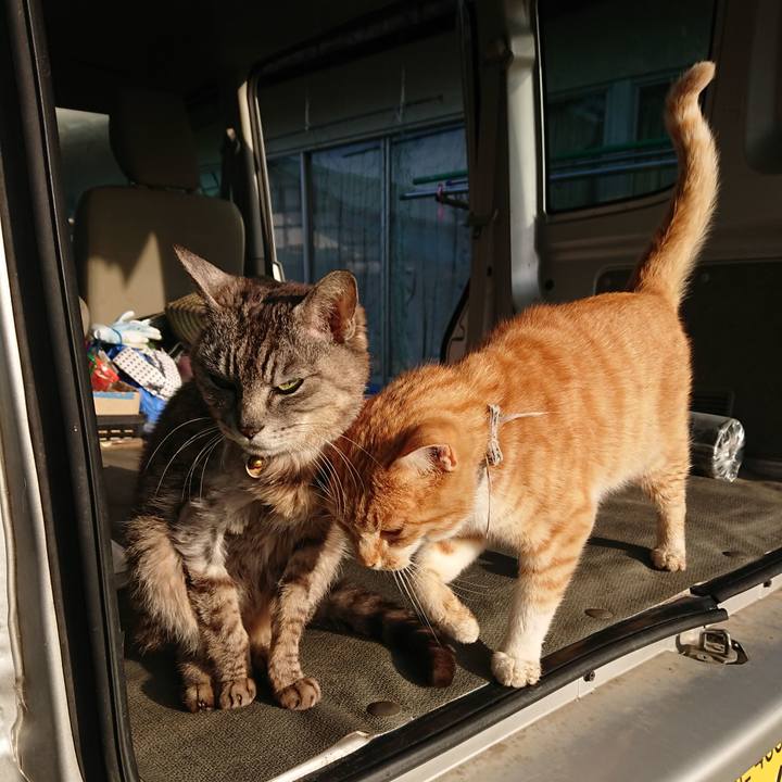 58e50b81 7e32 41f3 a60f a0a67d9ca5c0 1591649795477