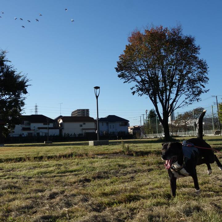 58e50fa4 8912 4a2c 8d7d 4132988d425e 1731457898851