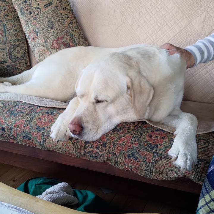 58e51b50 2684 43b9 bda0 bf964cb3c024 1683188884110